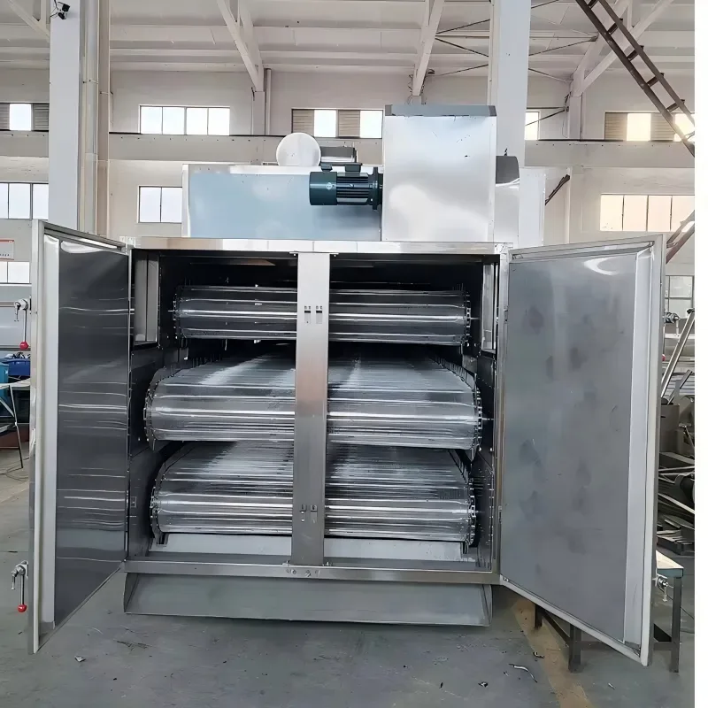 Multi-Layer Belt Dryer 3