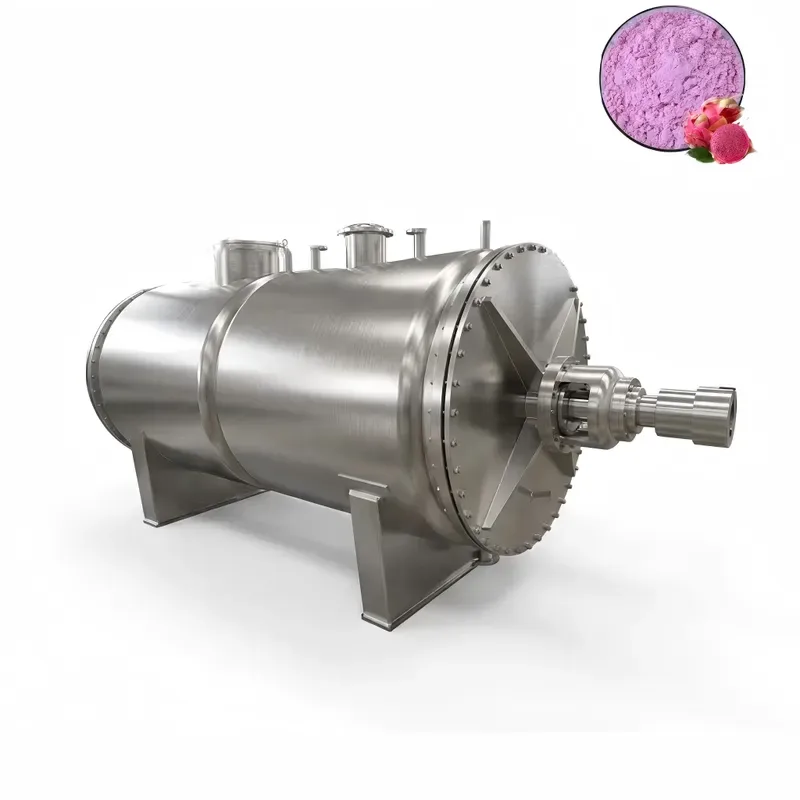 Rake Vacuum Dryer 4